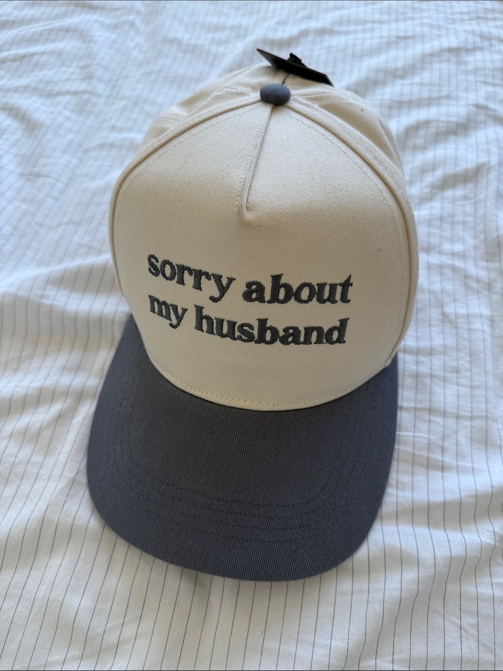 David and Young Two-Tone Trucker Hat in Cream and Gray
